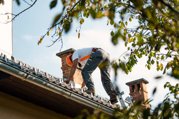 Best Rubber Roofing (EPDM, TPO)  in Versailles, OH